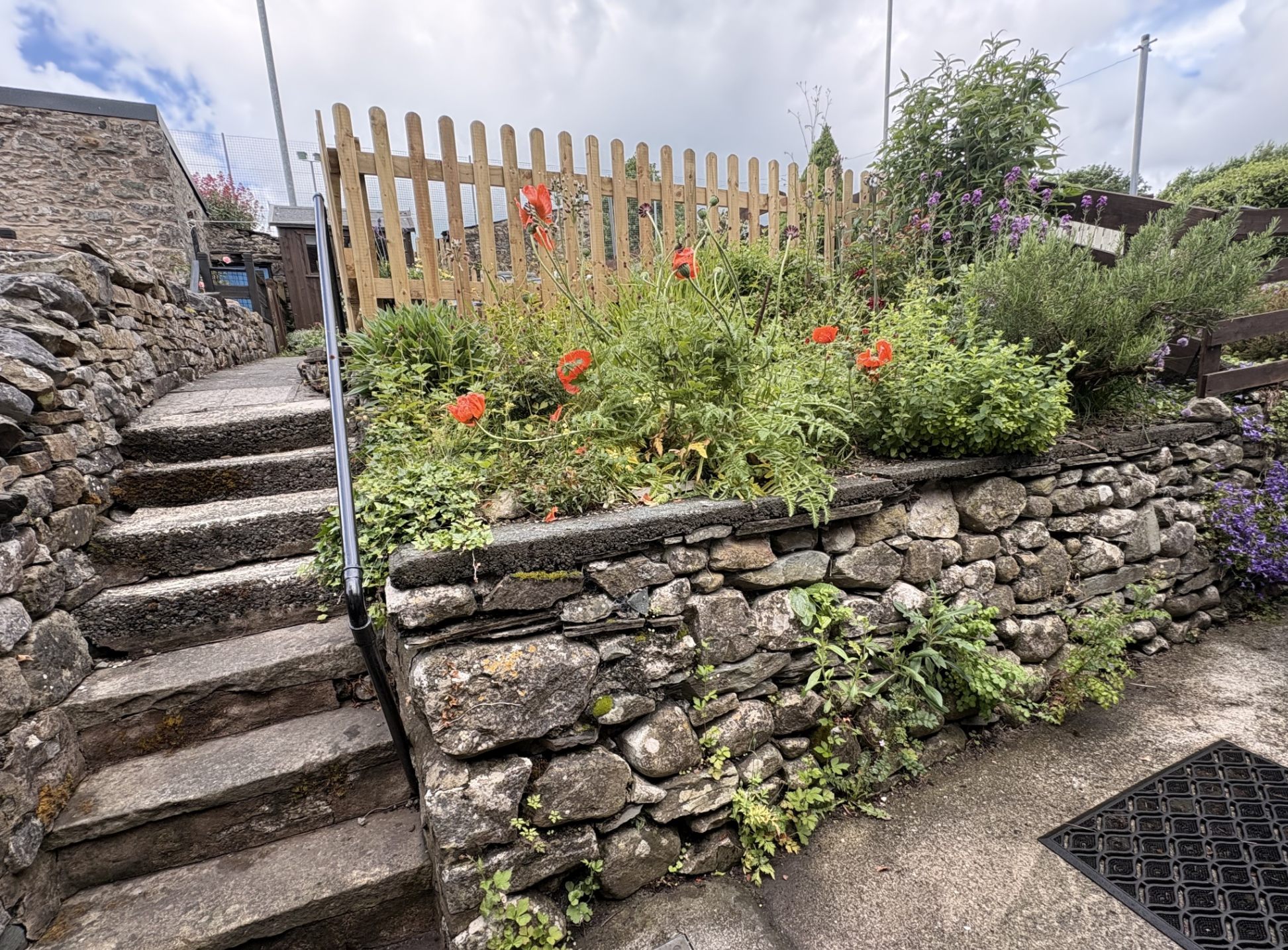 Enclosed garden at Wren Cottage with stone steps and poppies